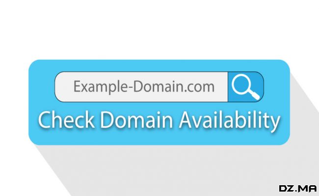 البحث عن إسم الدومين